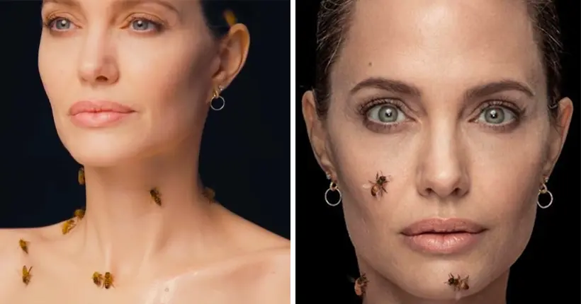 Angelina Jolie n’a pas peur des abeilles