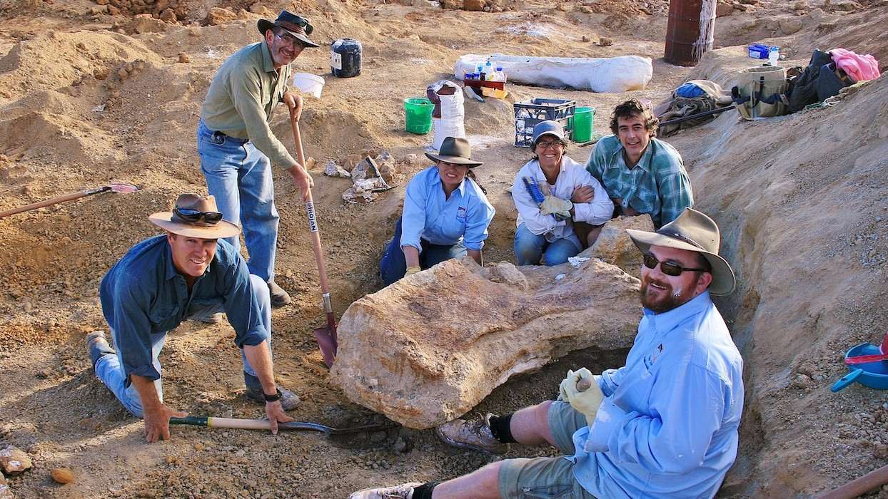 Le plus grand dinosaure découvert en Australie identifié comme une nouvelle espèce