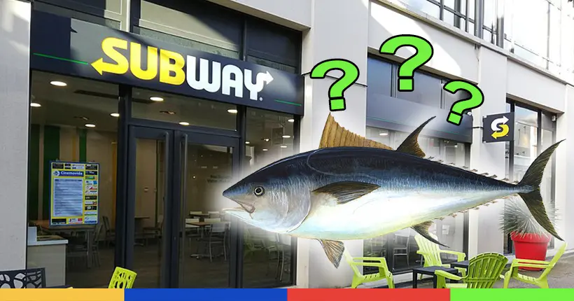 Y a-t-il de l’ADN de thon dans les sandwichs au thon de Subway ? Mystère