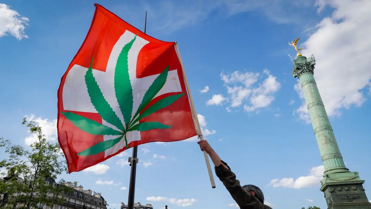 Sondage : une majorité de Français favorable à la dépénalisation du cannabis