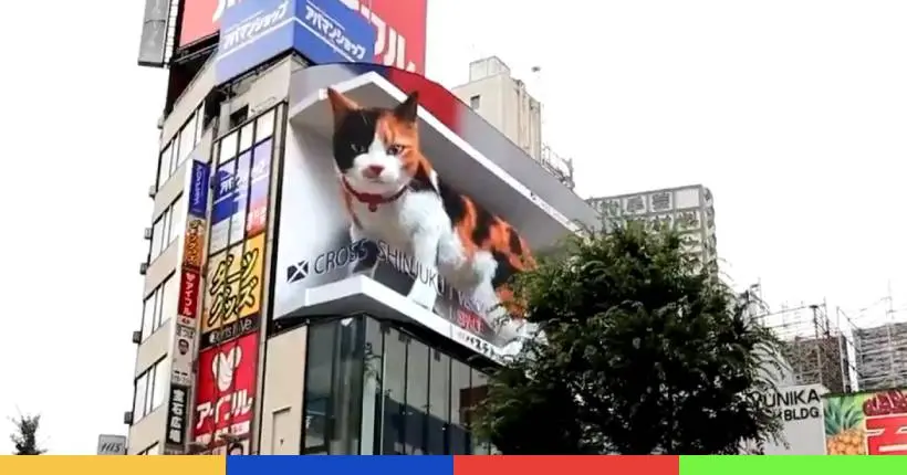 À Tokyo, un chat géant en 3D a pris possession d’un énorme panneau d’affichage