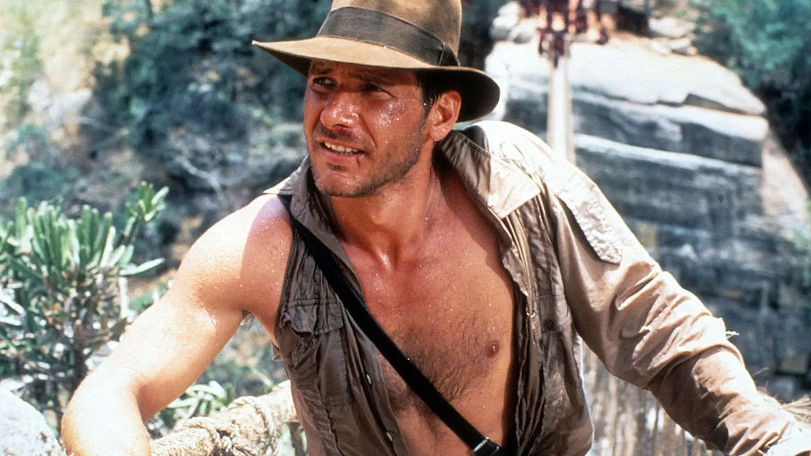 Harrison Ford : parcours cabossé d’un acteur de tous les dangers