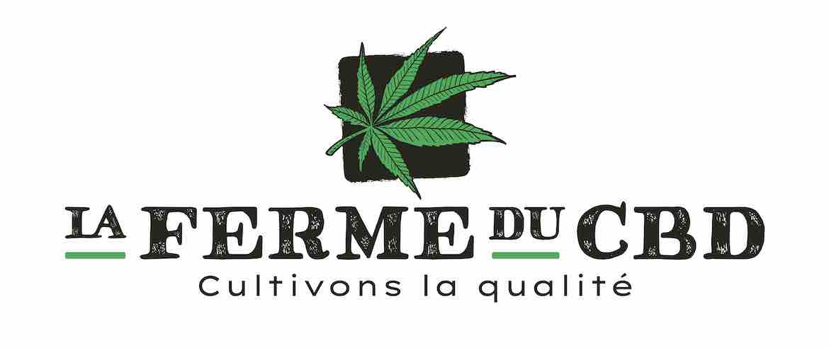 Quiz : Connais-tu vraiment le CBD ?