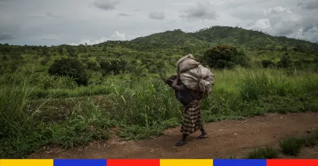 Deux femmes accusées de sorcellerie lynchées dans un village de l’Est en RDC