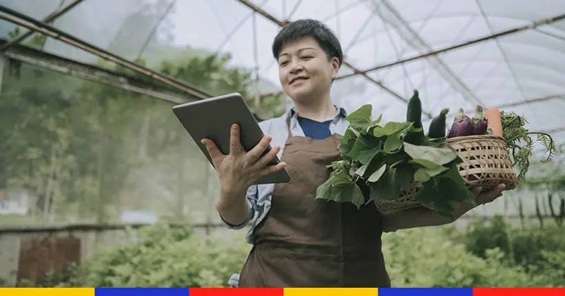 En Chine, les agriculteurs sont les nouvelles stars des plateformes comme TikTok