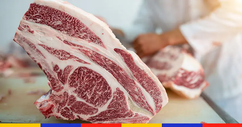 Ça y est, des chercheurs ont réussi à créer du bœuf wagyu à partir de cellules souches