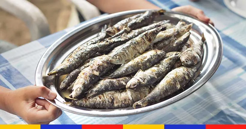 On a trouvé le plan pour s’envoyer des sardines grillées gratos à Paris