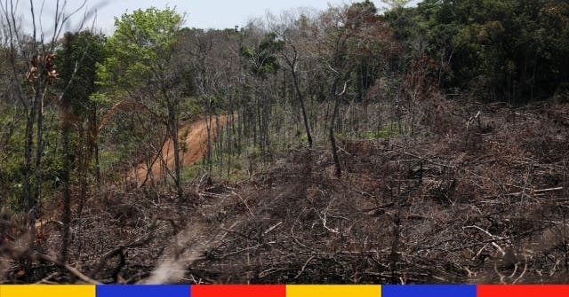 <p>Colombie, mars 2021. (© Reuters/Luisa Gonzalez)</p>
