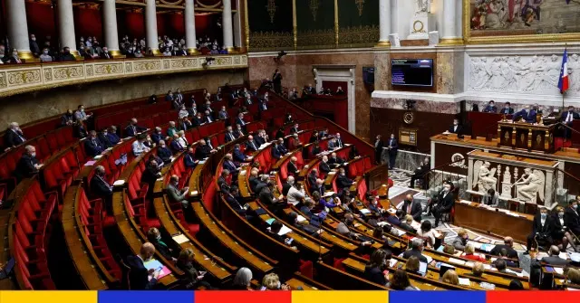 Feu vert du Parlement pour permettre de donner un nom aux enfants nés sans vie