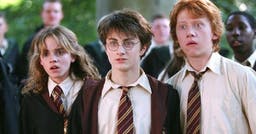 Comment Chris Columbus veut poursuivre la saga Harry Potter