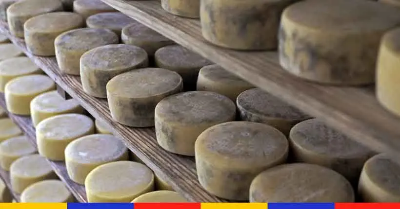 Le Brésil est (lui aussi) une terre de fromages d’excellence