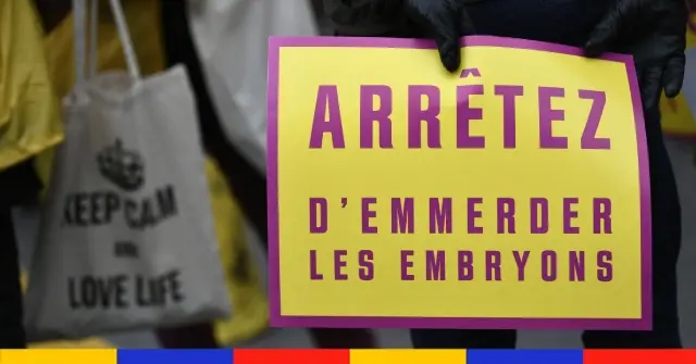 Paris : les anti-IVG ont manifesté contre l’allongement de la durée légale