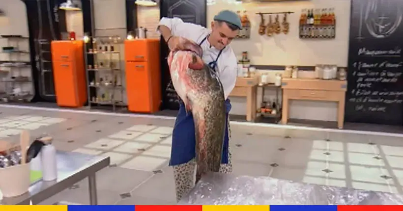 Vous avez vu le GIGA silure d’Ambroise dans Top Chef ? On vous en dit plus sur ce poisson-chat pas toujours très sympathique