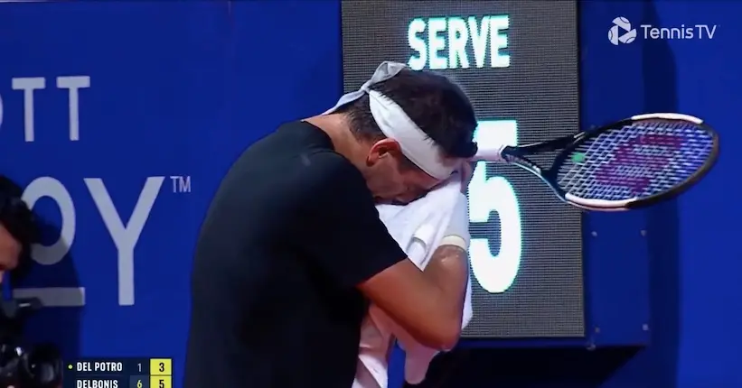 Juan Martín del Potro fond en larmes pour son (probable) dernier match en carrière