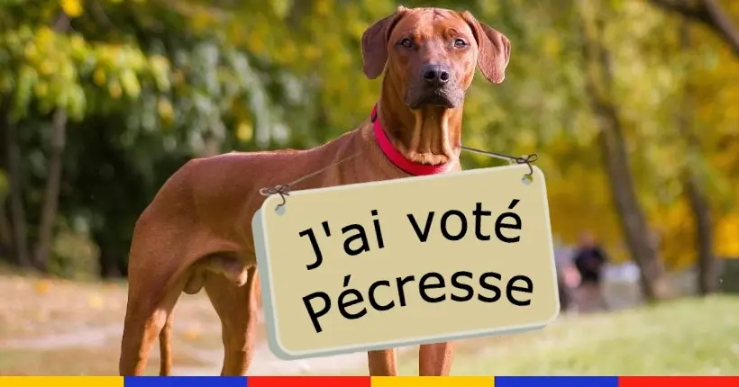 Le Trône de FR – Épisode 5 : du pâté Éric Zemmour, un chien encarté LR et de la fausse trompette