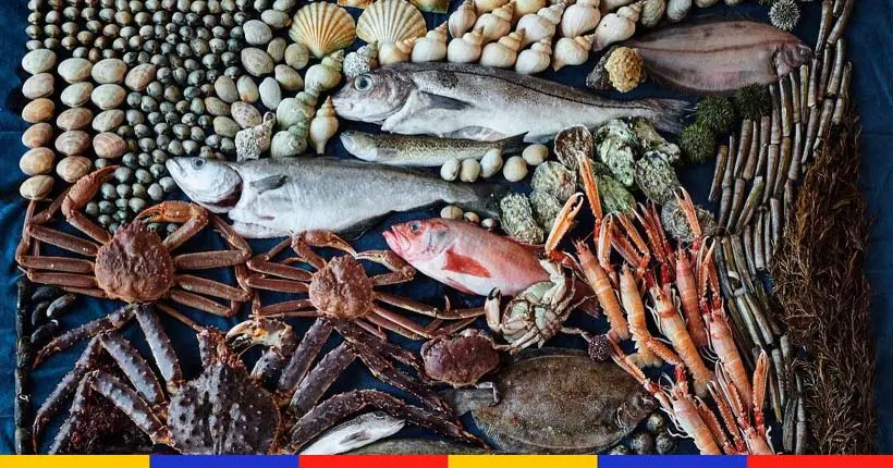 À quoi ressemble le nouveau menu du Noma (dédié aux poissons et fruits de mer) ?