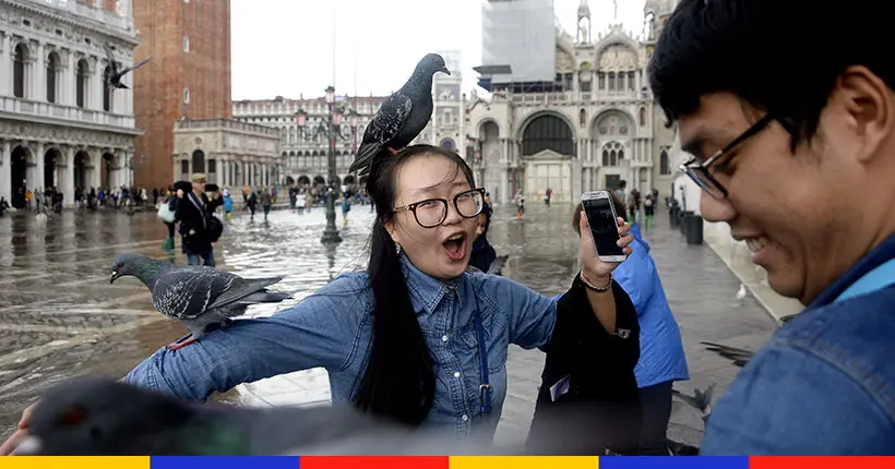 À Venise, les touristes chassent les volatiles des terrasses à coups de pistolets à eau