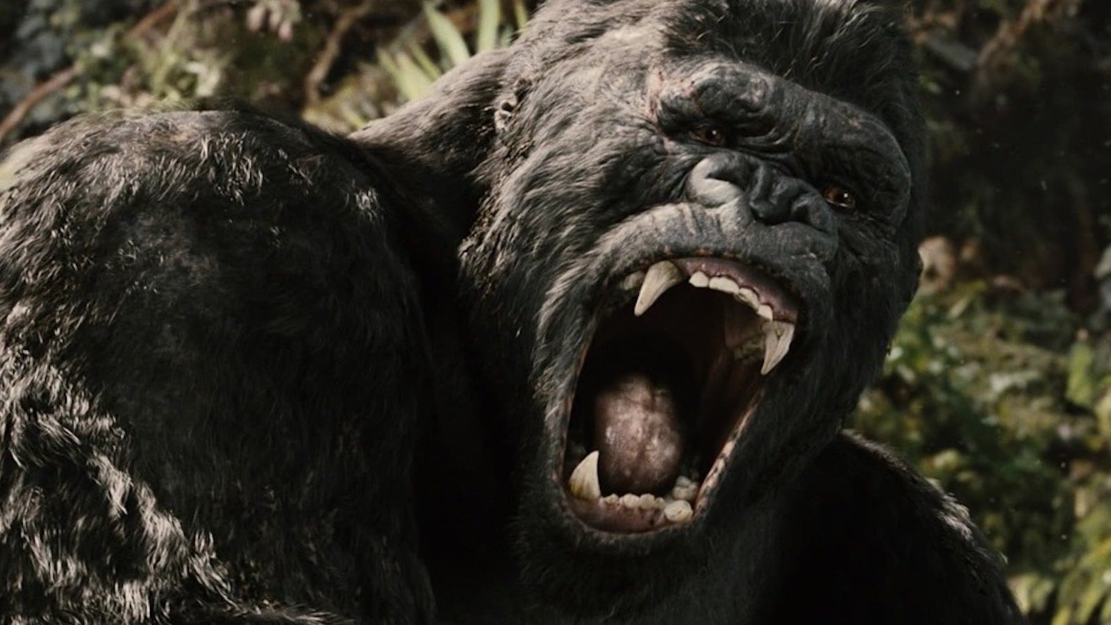 “King Kong” est-il un salaud ?