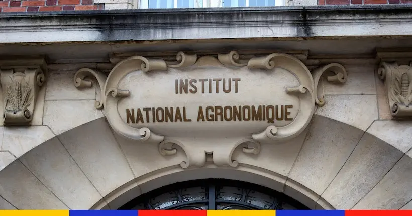 AgroParisTech saisit la justice après une enquête interne faisant état de 17 viols