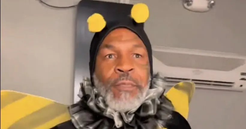 Ça vaut le coup d’œil : Mike Tyson qui se prend pour Maya l’abeille