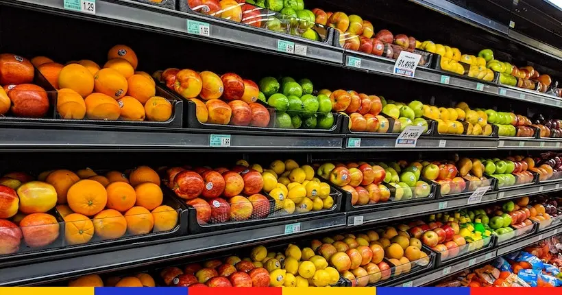 Aide du gouvernement : 9 millions de foyers devraient recevoir un chèque alimentaire de 100 euros