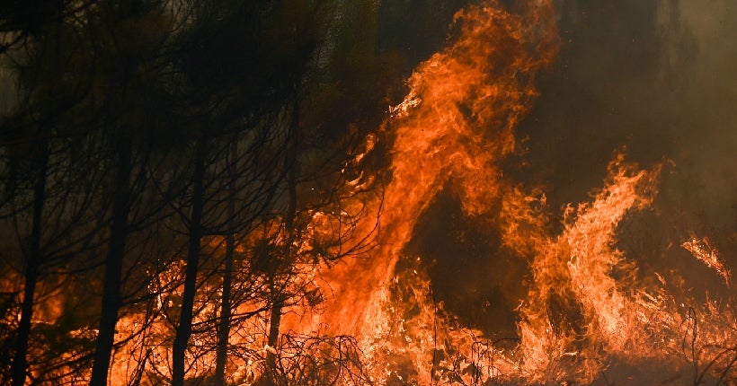 Incendies en Gironde : la piste d'”acte volontairement malveillant” privilégiée