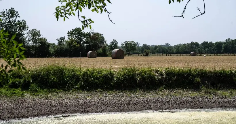 Les effets de la canicule bousculent le calendrier des récoltes