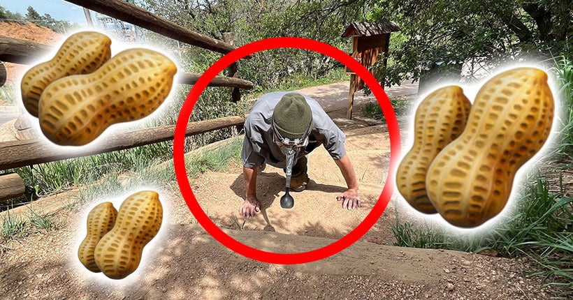 le gars des planteurs de cacahuètes