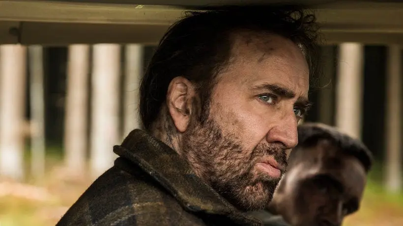 Nicolas Cage va incarner un dragon alcoolique dans la série Highfire