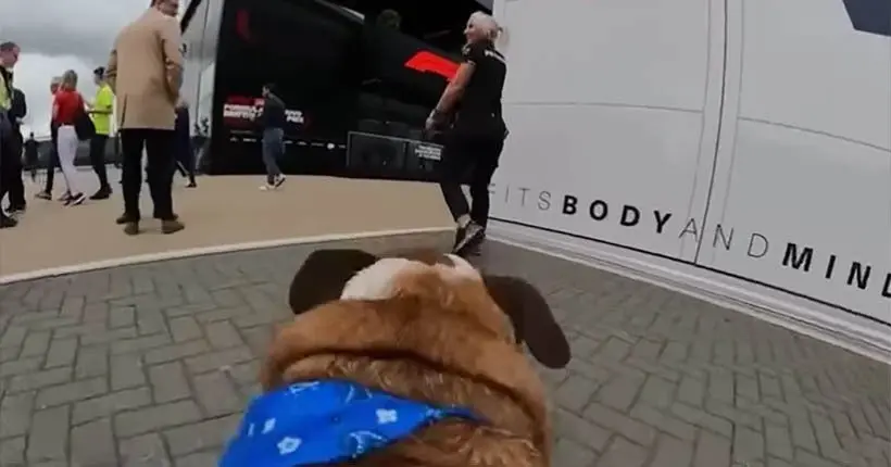 Lewis Hamilton installe une GoPro sur le dos de son chien Roscoe pour filmer les coulisses de la F1