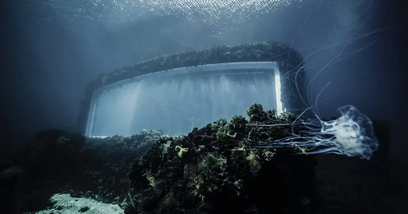Under, le restaurant sous-marin, ne fait désormais plus qu’un avec la nature