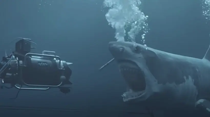 On s’est incrustés dans les coulisses du premier film de requin français