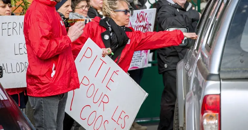 Une pétition pour l’interdiction des combats de coqs récolte plus de 20 000 signatures