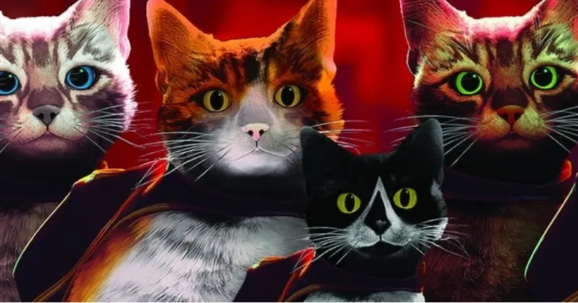 Cinq vrais chats de la SPA ont débarqué dans le jeu vidéo Stray