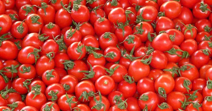 Les tomates vont manquer cet hiver (et ce n’est pas plus mal)