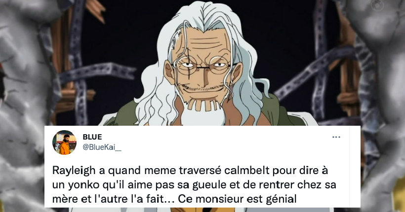 One Piece chapitre 1059 : le grand n’importe quoi des réseaux sociaux