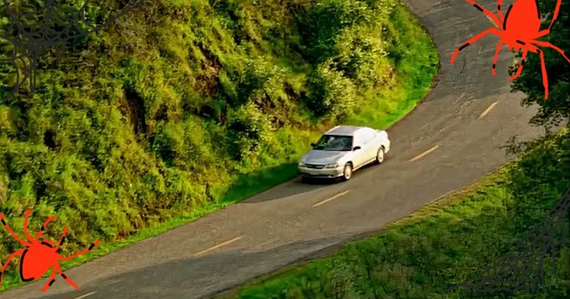 “Voiture dame blanche”, retour sur les origines de la vidéo qui a traumatisé Internet