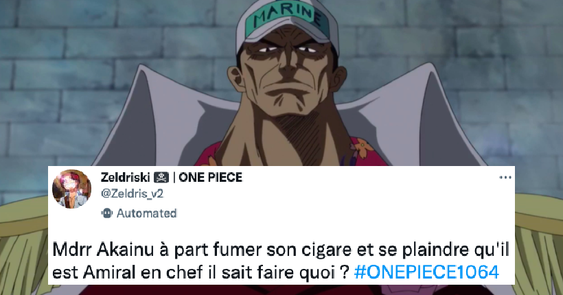 One Piece chapitre 1064 : le grand n’importe quoi des réseaux sociaux