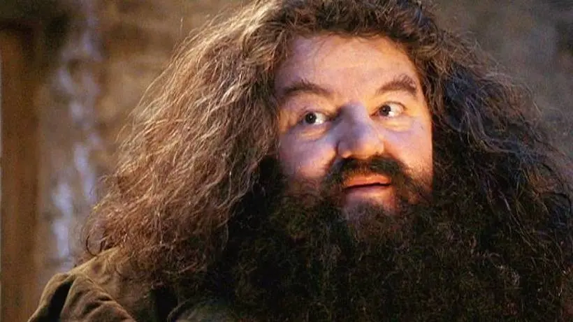 Robbie Coltrane, alias Hagrid dans la saga Harry Potter, est mort
