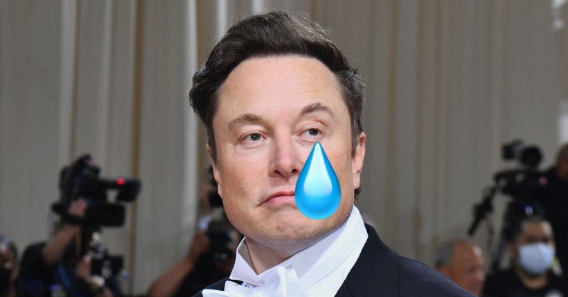 Elon Musk se fait humilier par un Français devant tout Twitter (et il n’assume pas)