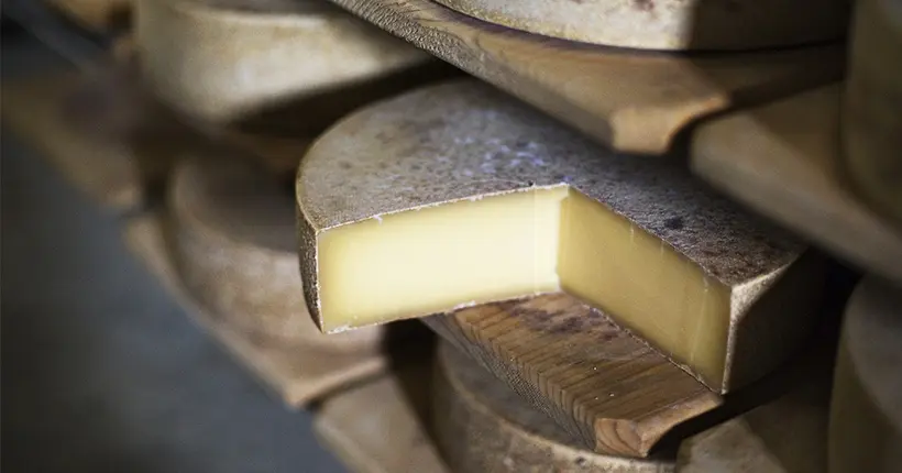 Le meilleur fromage du monde a été élu (et il n’est pas français)