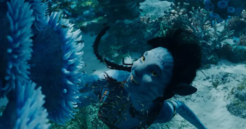 En deux semaines, Avatar 2 devient le film le plus vu en France en 2022
