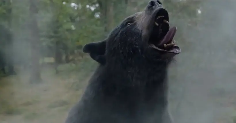 L’histoire vraie de l’ours qui avait consommé trop de cocaïne devient un film, et voilà sa première bande-annonce