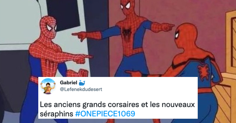 One Piece chapitre 1069 : le grand n’importe quoi des réseaux sociaux