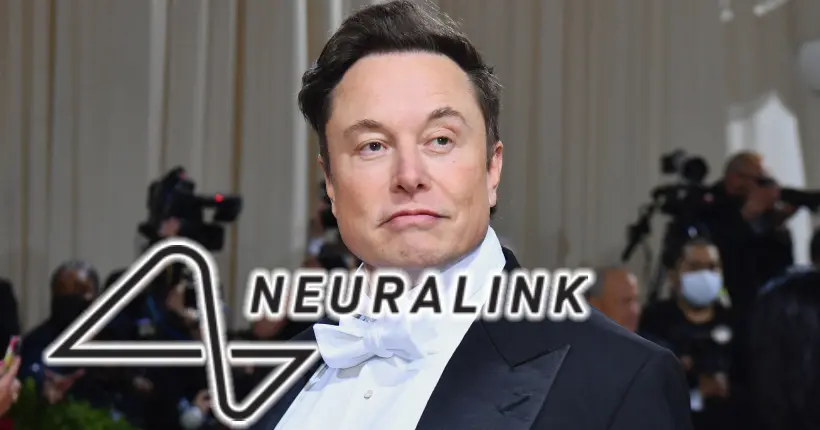 Elon Musk aurait fait tuer plus de 1 500 animaux pour le développement de Neuralink