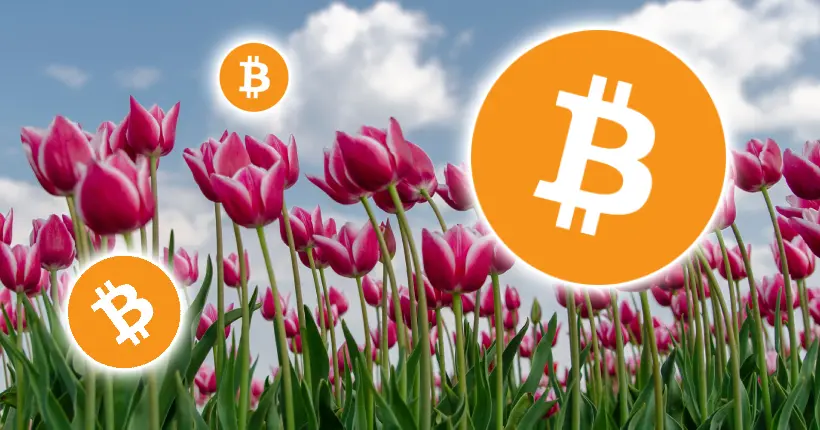 Ce génie mine du bitcoin pour… faire pousser ses tulipes