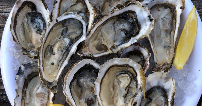 Science finally reveals why the dreaded shellfish can’t be digested