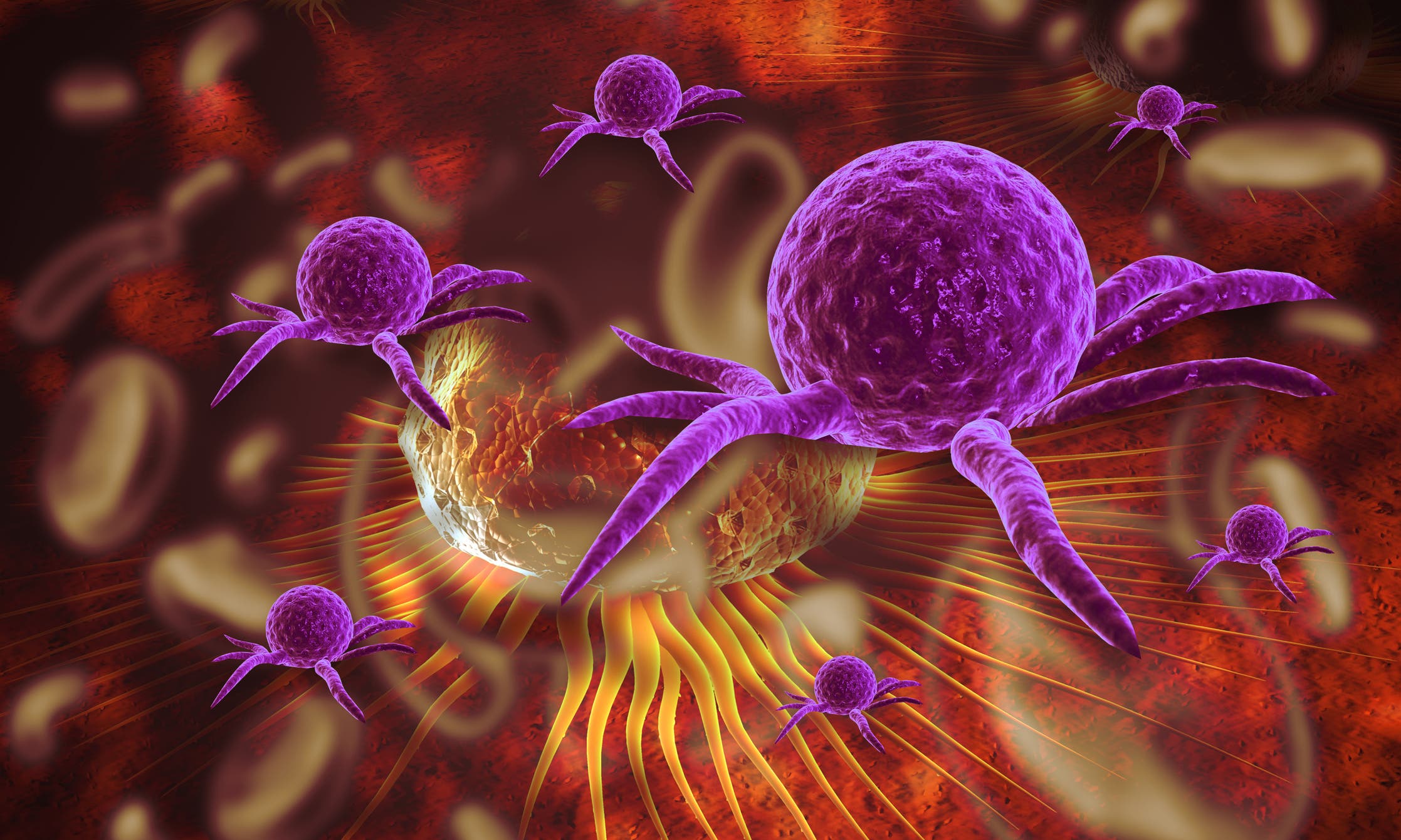 <p>Cancer cells, medical concept. 3d digital illustration</p>
