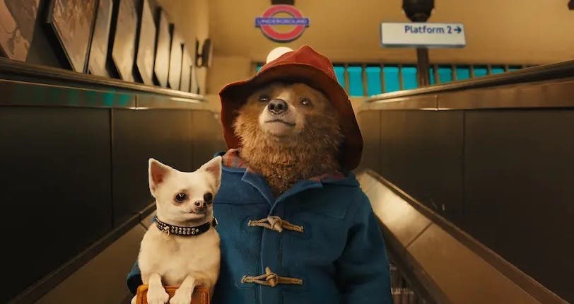 Sortez le pot de marmelade : Paddington repart bientôt à l’aventure