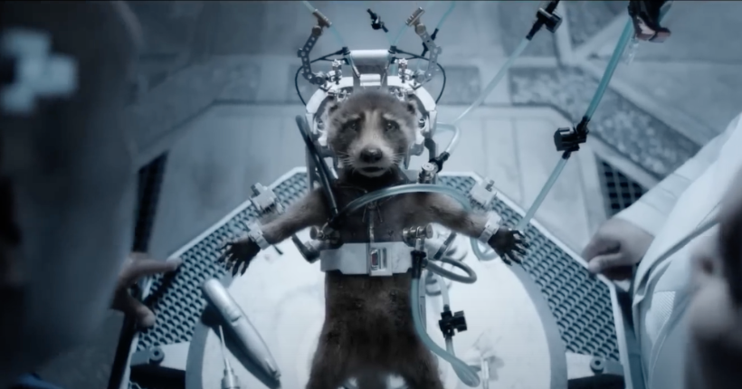 Les Gardiens de la Galaxie 3 : James Gunn reçoit un prix PETA pour “avoir mis en lumière la cruauté des tests sur les animaux”